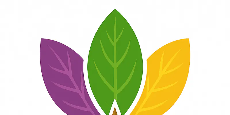 The Triune Nature of Humanity: Balancing Spirit, Soul, and Body