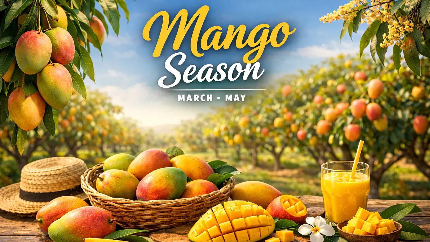 MAgnificent MAngoes form MArch to MAy